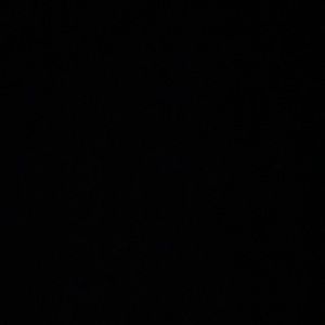 Meet your Posher, Juelson